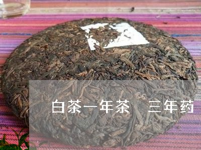 白茶一年茶 三年药 七年宝/2023052981803